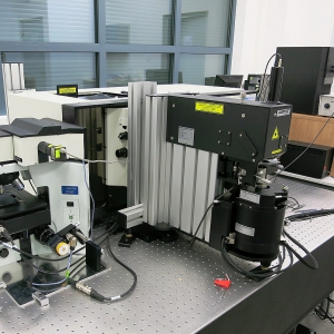 SmartSPM Scanning Probe Microscope Horiba Integrated with Raman spectrometer for Biomedical Studies