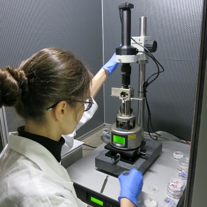 Scanning Probe Microscope for SAMs Analysis